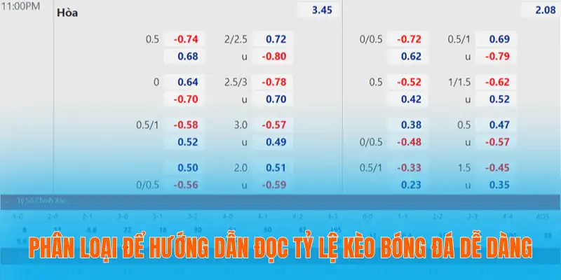 Hướng Dẫn Đọc Tỷ Lệ Kèo Bóng Đá Rất Chi Tiết Cho Người Mới 3 Phân loại để hướng dẫn đọc tỷ lệ kèo bóng đá dễ dàng