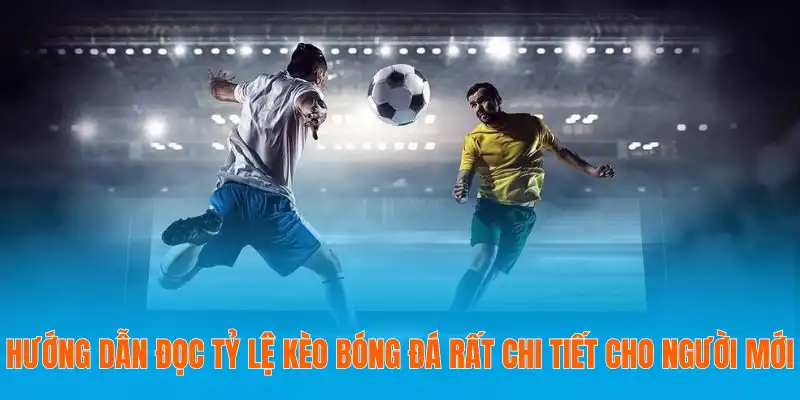 Hướng dẫn đọc tỷ lệ kèo bóng đá