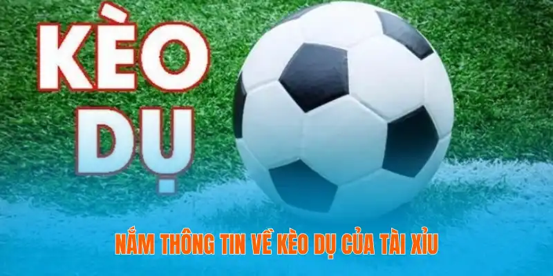 Kèo Dụ Là Gì? Cách Nhận Biết Và Tránh Kèo Bẫy Nhà Cái 3 Nắm thông tin về kèo dụ của tài xỉu