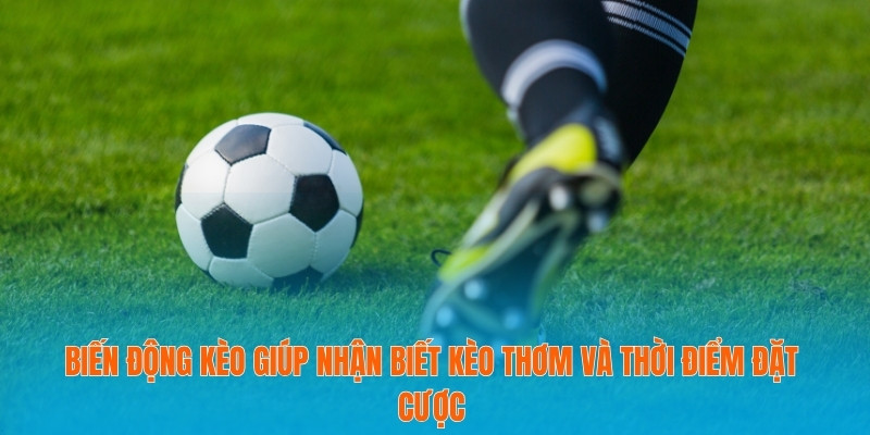 Biến động kèo giúp nhận biết kèo thơm và thời điểm đặt cược