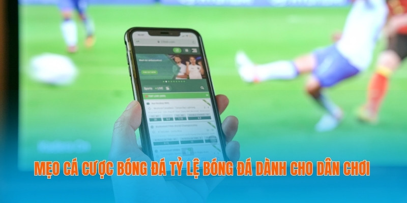 Mẹo cá cược bóng đá tỷ lệ bóng đá