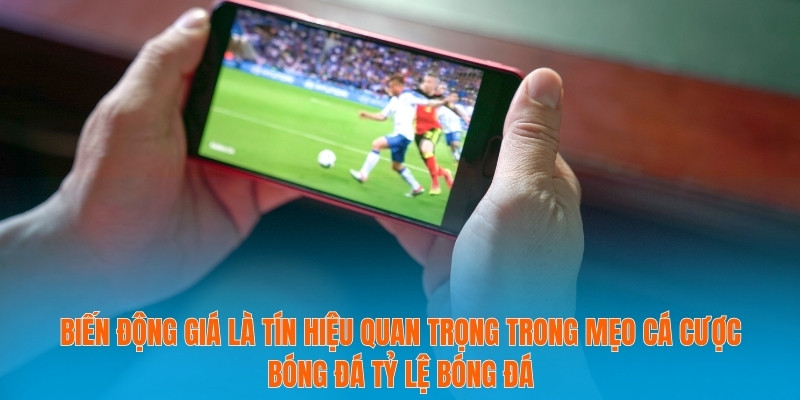 Biến động giá là tín hiệu quan trọng trong mẹo cá cược bóng đá tỷ lệ bóng đá