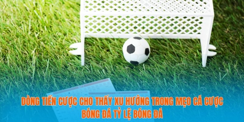 Dòng tiền cược cho thấy xu hướng trong mẹo cá cược bóng đá tỷ lệ bóng đá
