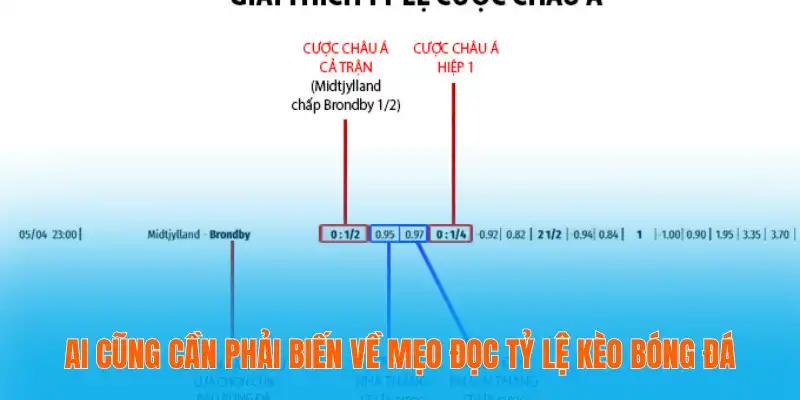 Mẹo Đọc Tỷ Lệ Kèo Bóng Đá Chính Xác Cho Người Chơi Mới 2 Ai cũng cần phải biến về mẹo đọc tỷ lệ kèo bóng đá