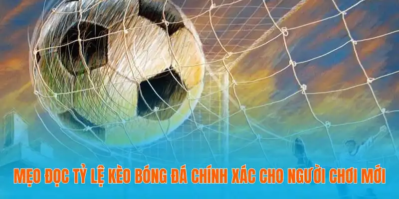 mẹo đọc tỷ lệ kèo bóng đá