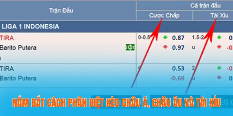 Phân Biệt Kèo Châu Á, Châu Âu Và Tài Xỉu Chi Tiết Nhất 2 Nắm bắt cách phân biệt kèo châu Á, châu Âu và tài xỉu