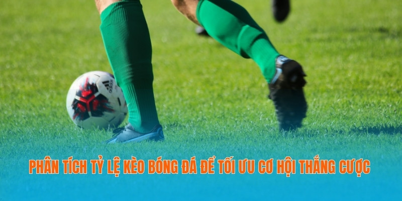 Phân Tích Tỷ Lệ Kèo Bóng Đá