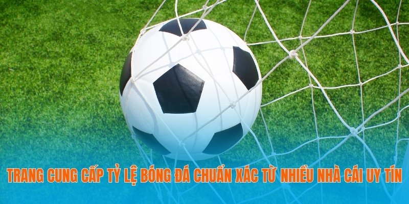 Tỷ Lệ Bóng Đá – Trang Thông Tin Bóng Đá Dành Cho Dân Chơi 17 Tỷ lệ bóng đá sử dụng AI để phân tích dữ liệu trận đấu