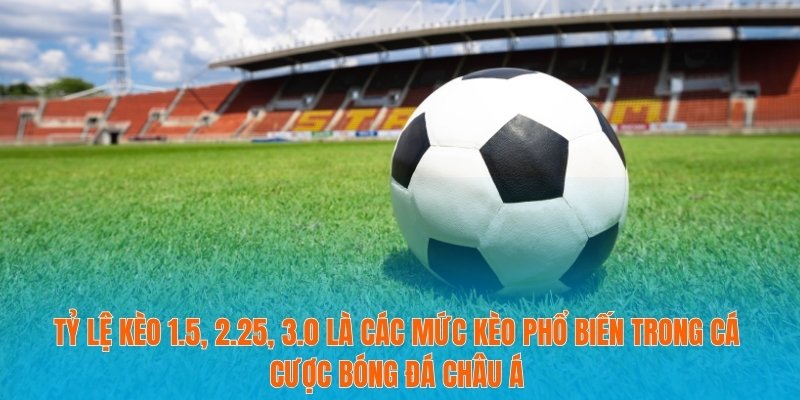 Tỷ lệ kèo 1.5, 2.25, 3.0 Làm Chủ Cá Cược Bóng Đá Trong Tầm Tay 2 Tỷ lệ kèo 1.5, 2.25, 3.0 là các mức kèo phổ biến trong cá cược bóng đá châu Á