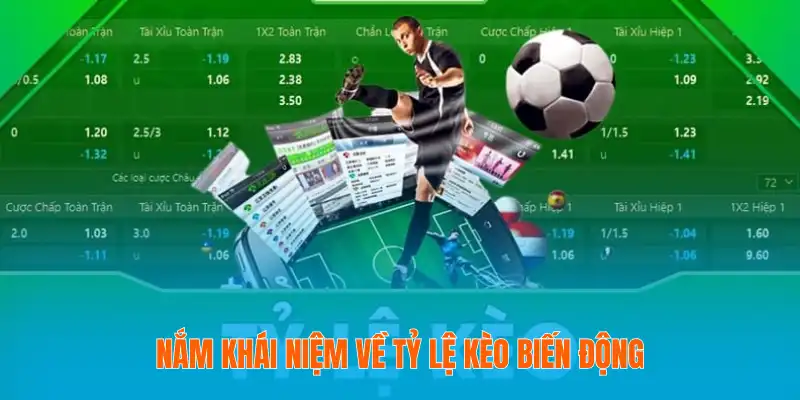 Tỷ Lệ Kèo Biến Động – Nhận Biết Và Phân Tích Chuẩn Xác 2 Nắm khái niệm về tỷ lệ kèo biến động