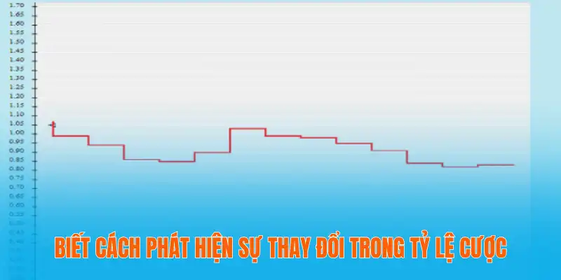 Tỷ Lệ Kèo Biến Động – Nhận Biết Và Phân Tích Chuẩn Xác 3 Biết cách phát hiện sự thay đổi trong tỷ lệ cược