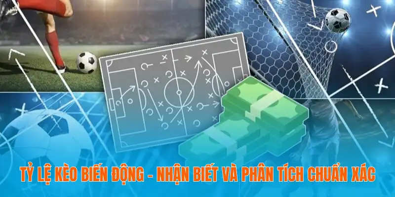Tỷ Lệ Kèo Biến Động