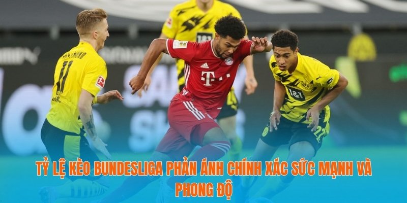 Tỷ Lệ Kèo Bundesliga Và Nghệ Thuật Dự Đoán Kết Quả Bóng Đá 2 Tỷ lệ kèo Bundesliga phản ánh chính xác sức mạnh và phong độ