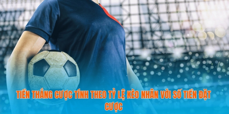 Đánh Giá Tỷ Lệ Kèo Châu Âu- Công Cụ Đắc Lực Cho Dân Cá Cược 4 Tiền thắng cược tính theo tỷ lệ kèo nhân với số tiền đặt cược