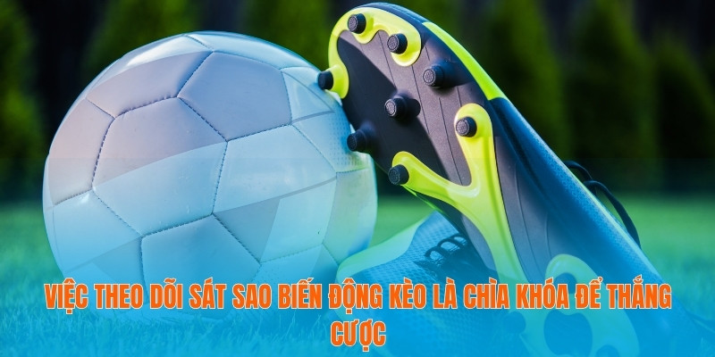 Tỷ Lệ Kèo Cúp C1 2025 – Bí Quyết Giúp Bạn Thắng Cược Đều Đặn 3 Việc theo dõi sát sao biến động kèo là chìa khóa để thắng cược