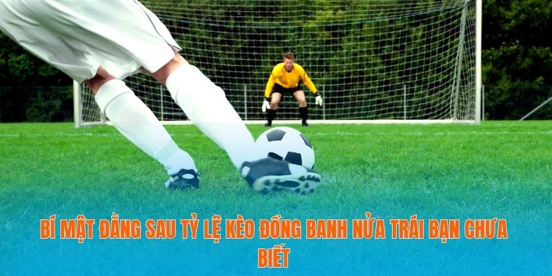 Bí Mật Đằng Sau Tỷ Lệ Kèo Đồng Banh Nửa Trái Bạn Chưa Biết 1 Tỷ lệ kèo đồng banh nửa trái