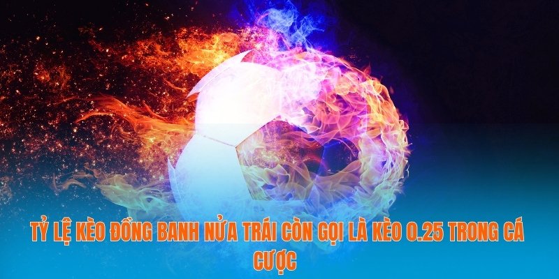 Bí Mật Đằng Sau Tỷ Lệ Kèo Đồng Banh Nửa Trái Bạn Chưa Biết 2 Tỷ lệ kèo đồng banh nửa trái còn gọi là kèo 0.25 trong cá cược
