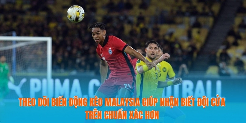 Theo dõi biến động kèo Malaysia giúp nhận biết đội cửa trên chuẩn xác hơn