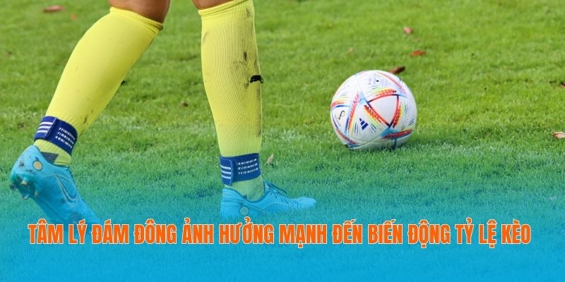 Tỷ Lệ Kèo Tài Xỉu - Hướng Dẫn Toàn Diện Từ A Đến Z 4 Tâm lý đám đông ảnh hưởng mạnh đến biến động tỷ lệ kèo
