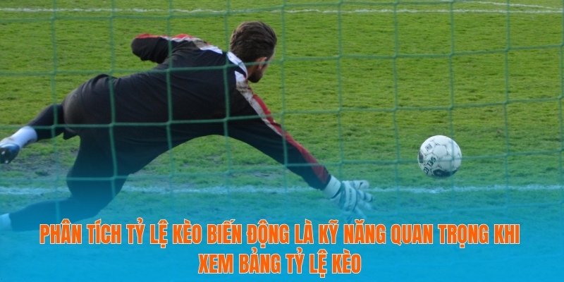 Hướng Dẫn Xem Bảng Tỷ Lệ Kèo Cho Người Chơi Thông Minh 3 Phân tích tỷ lệ kèo biến động là kỹ năng quan trọng khi xem bảng tỷ lệ kèo